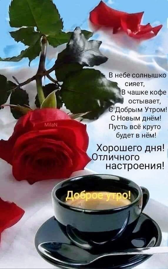 В небе солнышко сияет В чашке кофе остывает Добрым Утром С Новым днём Пусть всё круто будет в нём Хорошего дня Отличного настроения