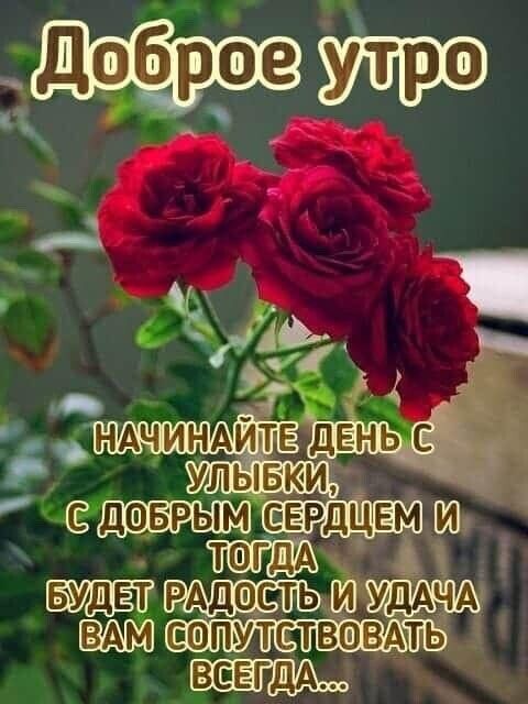 оП ДеПВОВАТ ВсЕТДАЧ
