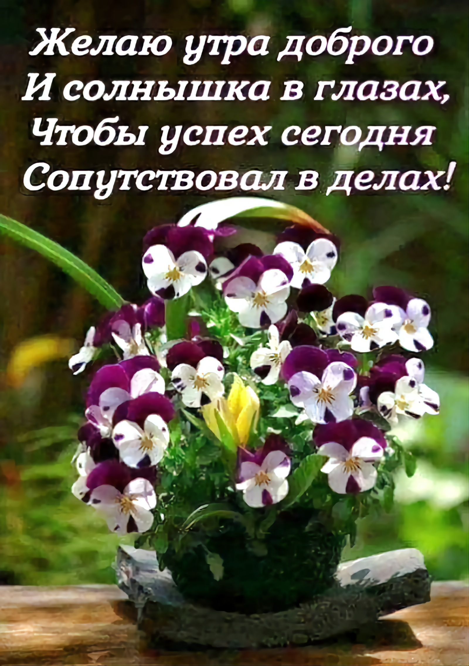Желаю утра доброго И солнышка в глазах Чтобы успех сегодня Сопутствовал в делах