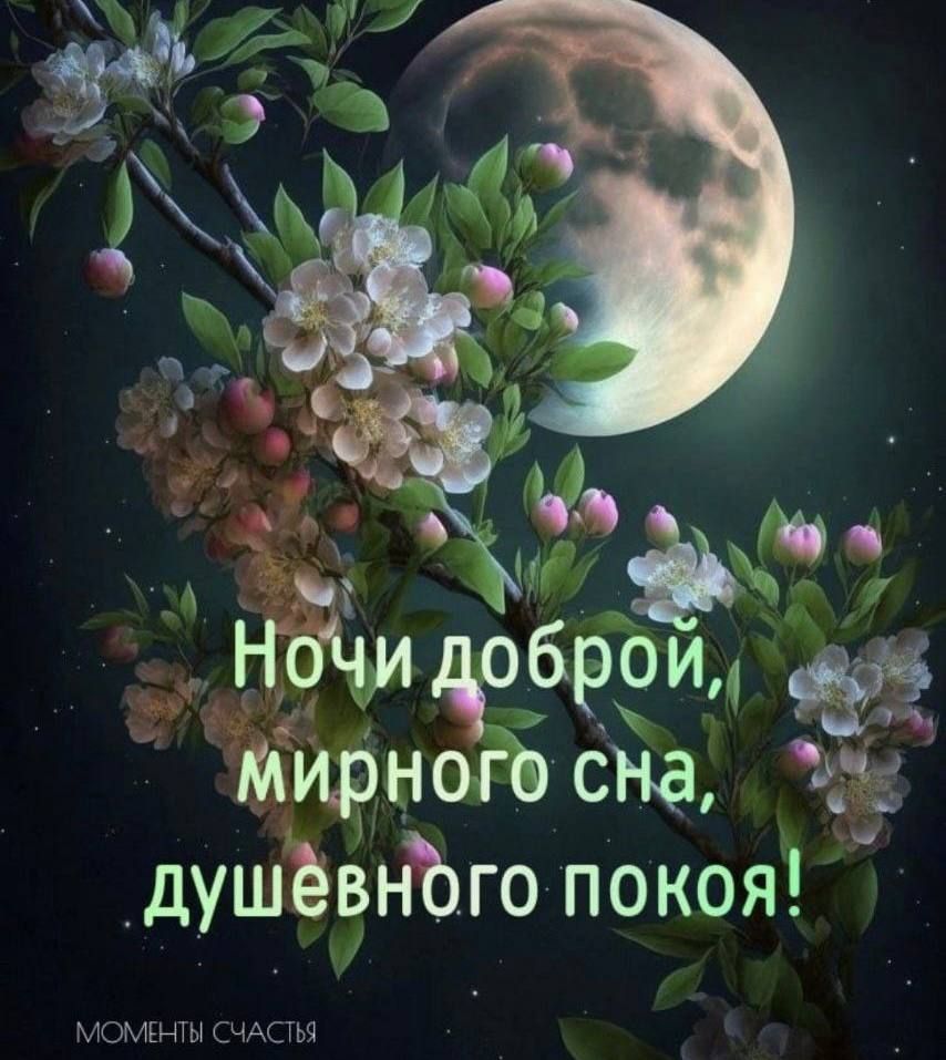 Ёщ 6рои мирнэ душёвъйэго покоя МОМЕНТЫ СЧАСТЬЯ