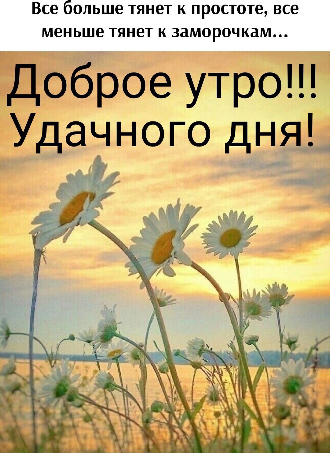 Все больше тянет к простоте все меньше тянет к заморочкам Доброе утро Удачного дня РО и