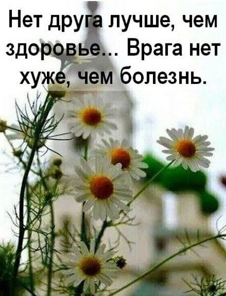 Нет друва лучше чем вве Врага нет болезнь