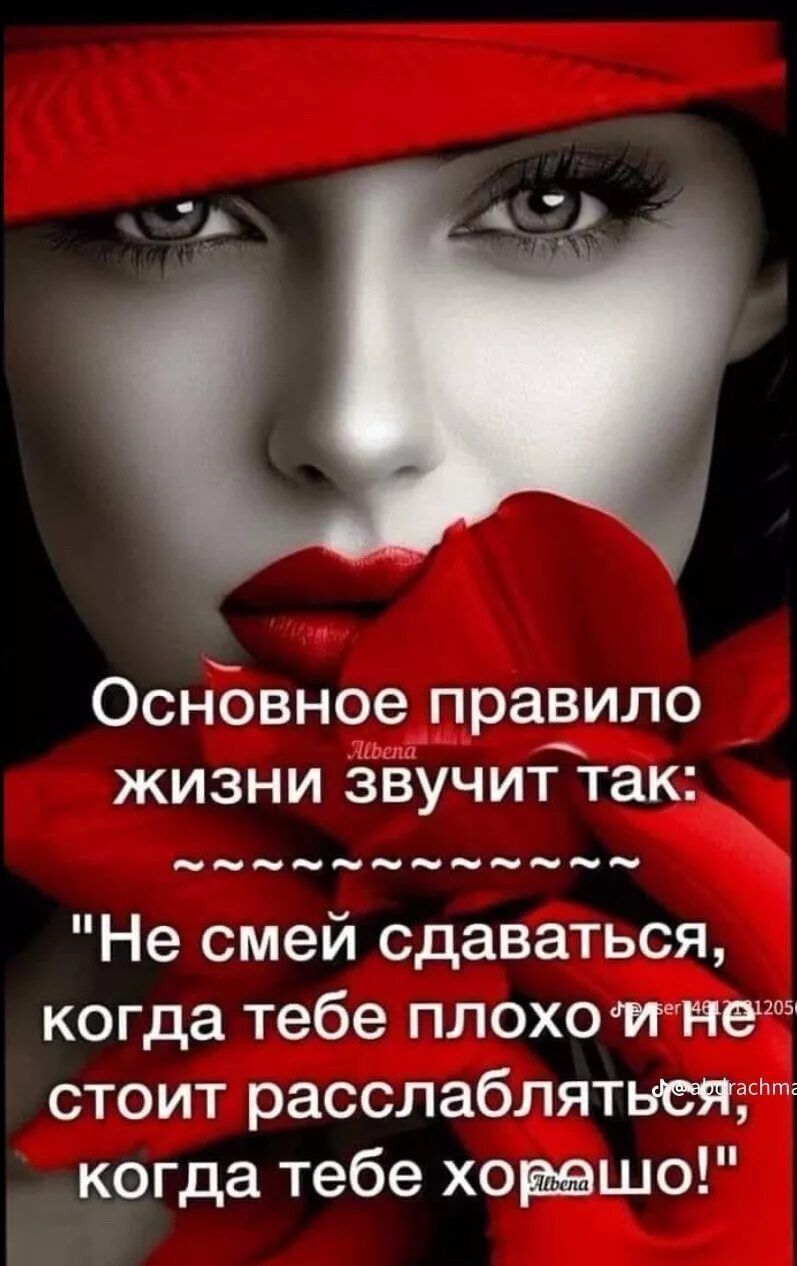 Основное правило жизни звучит так о о па о о о о о ее о оо Не смей сдаваться когда тебе плохоине стоит расслабляться когда тебе ховешо