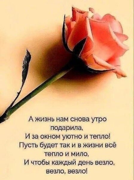 Ажизнь нам снова утро подарила И за окном уютно и тепло Пусть будет так и в жизни всё тепло и мило И чтобы каждый день везло везло везло