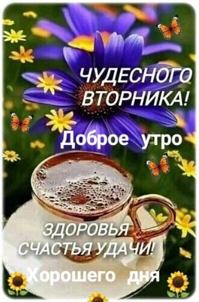 к чудЕснаа ВТОРНИИ Ф СЕ