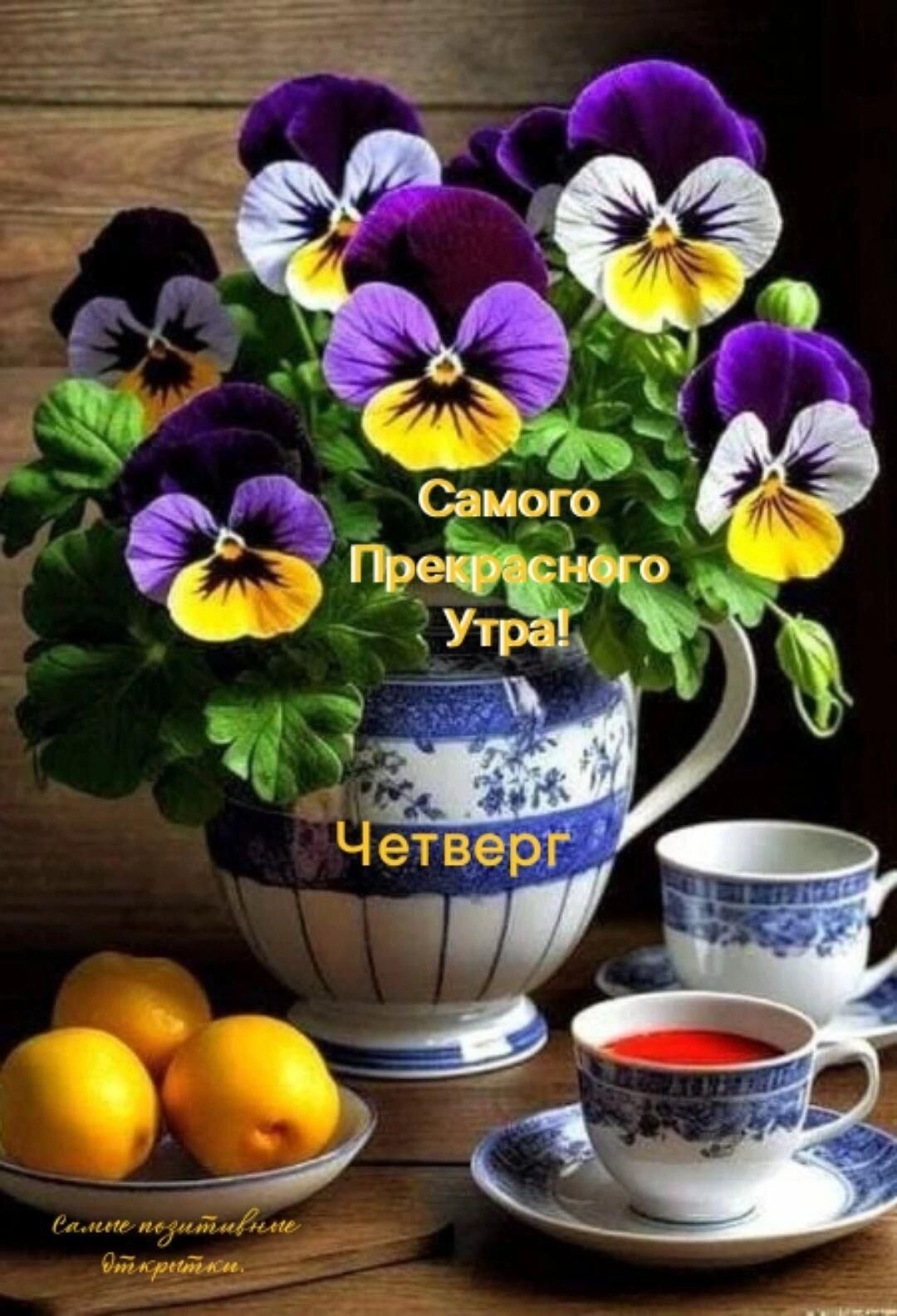 мого Ё Ь Префснфго Утра 4