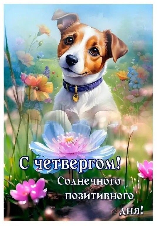 Солненногоя М и и ПОЗИТИВНОГО ЁЯ_