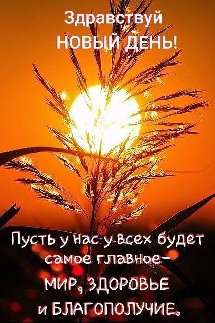 Здравствуи НОВЫИ дНЬ Пусть у Насу Всех будет Самое главное МИР ЗДОРОВЬЕ и БЛАГОПОЛУЧИЕ