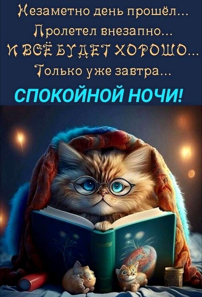 Кезаметно день прошёл Дролетел внезапно У ВСЁ БУДЕТ ХОРОЩО Только уже завтра СПОКОЙНОЙ НОЧИ