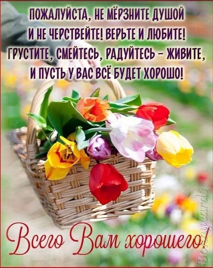 Бр щидное ЧНСННОНЦИЮ НОООИНЩ ИЫ оя ПОЖАЛУЙСТА НЕ МЕРЗНИТЕ ДУШОЙ 89 ИНЕ ЧЕРСТВЕИЕ ВЕРЬТЕЙ ЛЮБИТЕ ГРУСТИТЕЙ СМЕИТЕСЬ РАДУЙТЕСЬ ЖИВИТЕ Й ПУСТЬ У ВА ВСЕБУЛН ХОРОШО