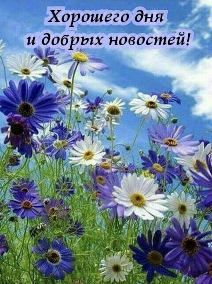 Хорошего дня прероженнфуц 4 и добрых новостей