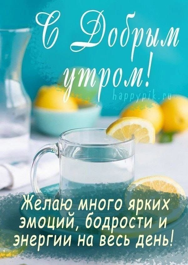 Желаю много ярких эмоций бодрости и энергии на вёсь день