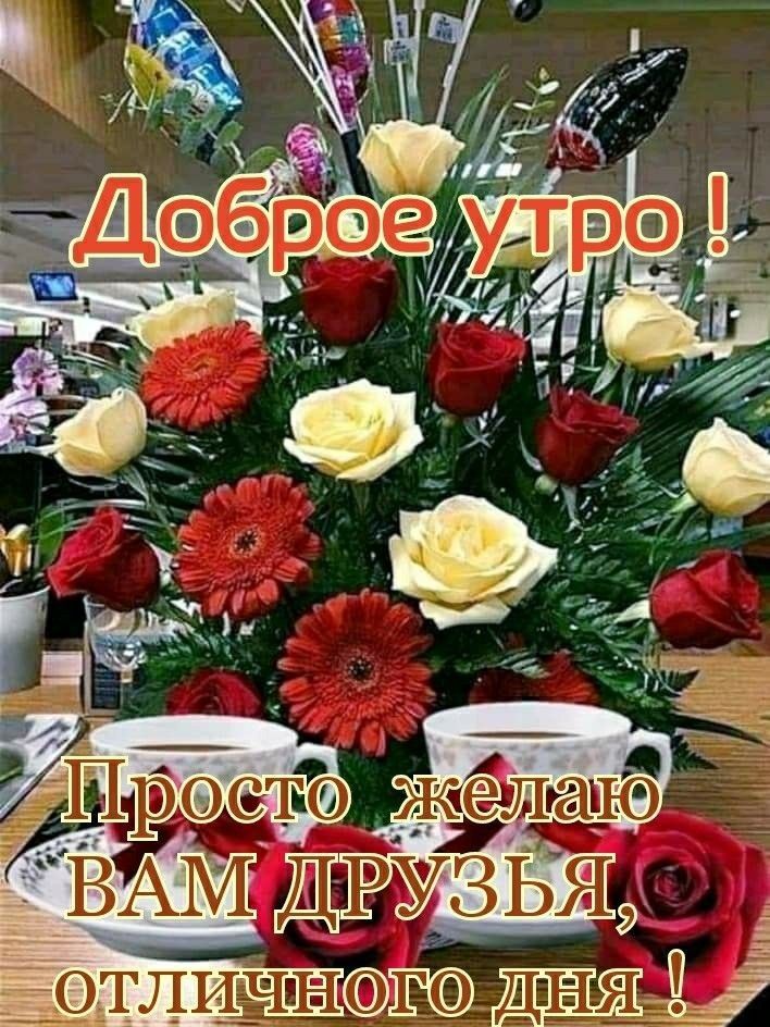 ОТЛИеНОЖО ВЕ _ё