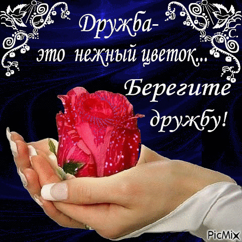С ор КОУ Ёа это нщнъш цветок ы ъЪерегите дружфу