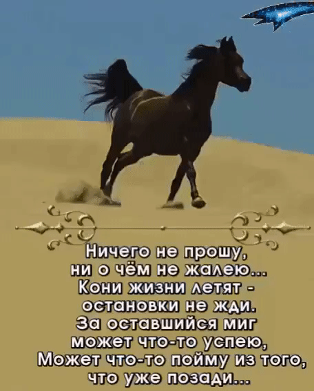 Чтоужепозади я