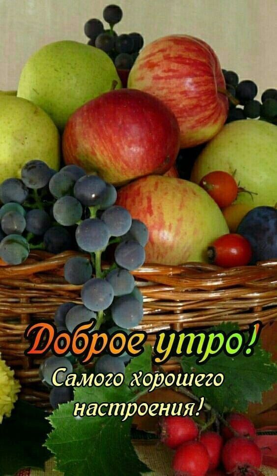 оброс длтэ Самого хорошего й настроения