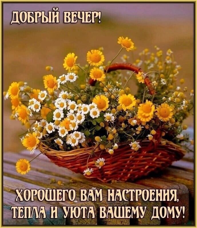 ДОБРЫН ВЕЧЕР ЗАМ НАСТРОЕНИЯ А ВАШЕМУ ДОМУ ЕГО ВАМ с а В ХОРОШ ЕБЕ ы Й