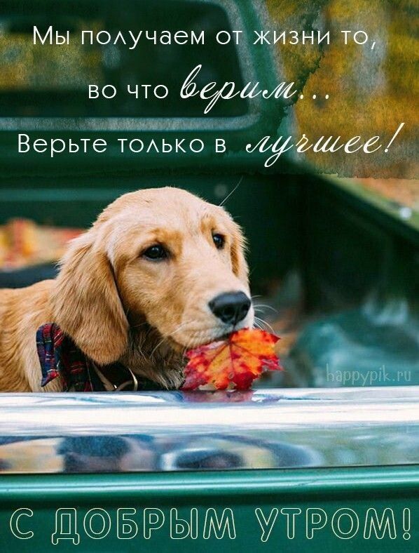 Мыполучаем 01 жизни ТЭ вО что 90 А Верьте тОлЬКО В ефіа С ДОБРЫМ УТРОМ