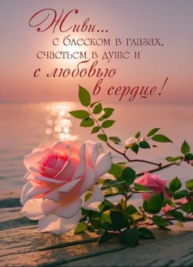 е И ИОИ С ОлеСКОМ В счастьсм В душю й с