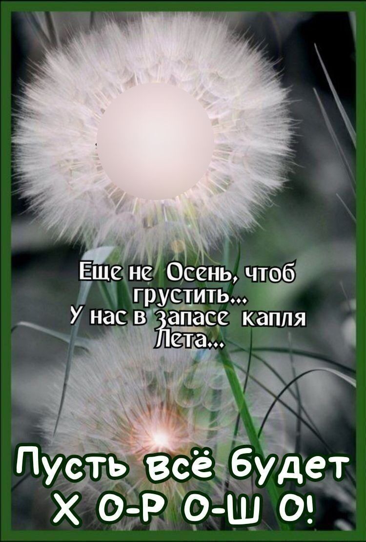 Ещене Осень чтоб 71 прустить 3 У нас вёзапасейкапля Е й Тёта