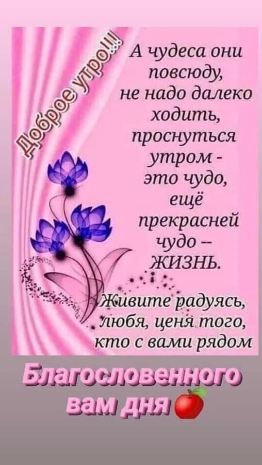 Х ы А чудеса они повсюду 33 не надо далеко ходить проснуться Зщ утром это чудо ещё прекрасней чудо ЖИЗзнь ё Жиёитеішдуясы 7 тюбя ценя того кто с вами рядом Благословенного вам дНя