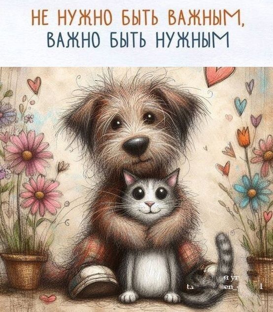 НЕ НУЖНО БЫТЬ ВАЖНЫМ ВАЖНО БЫТЬ НУЖНЫМ