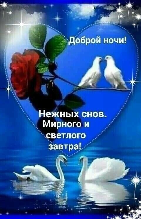 ЭНежных снов Мирногои светлого