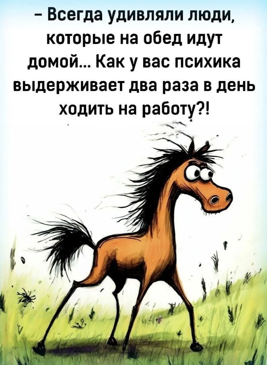 Всегда удивляли люди которые на обед идут домой Как у вас психика выдерживает два раза в день ходить на работу