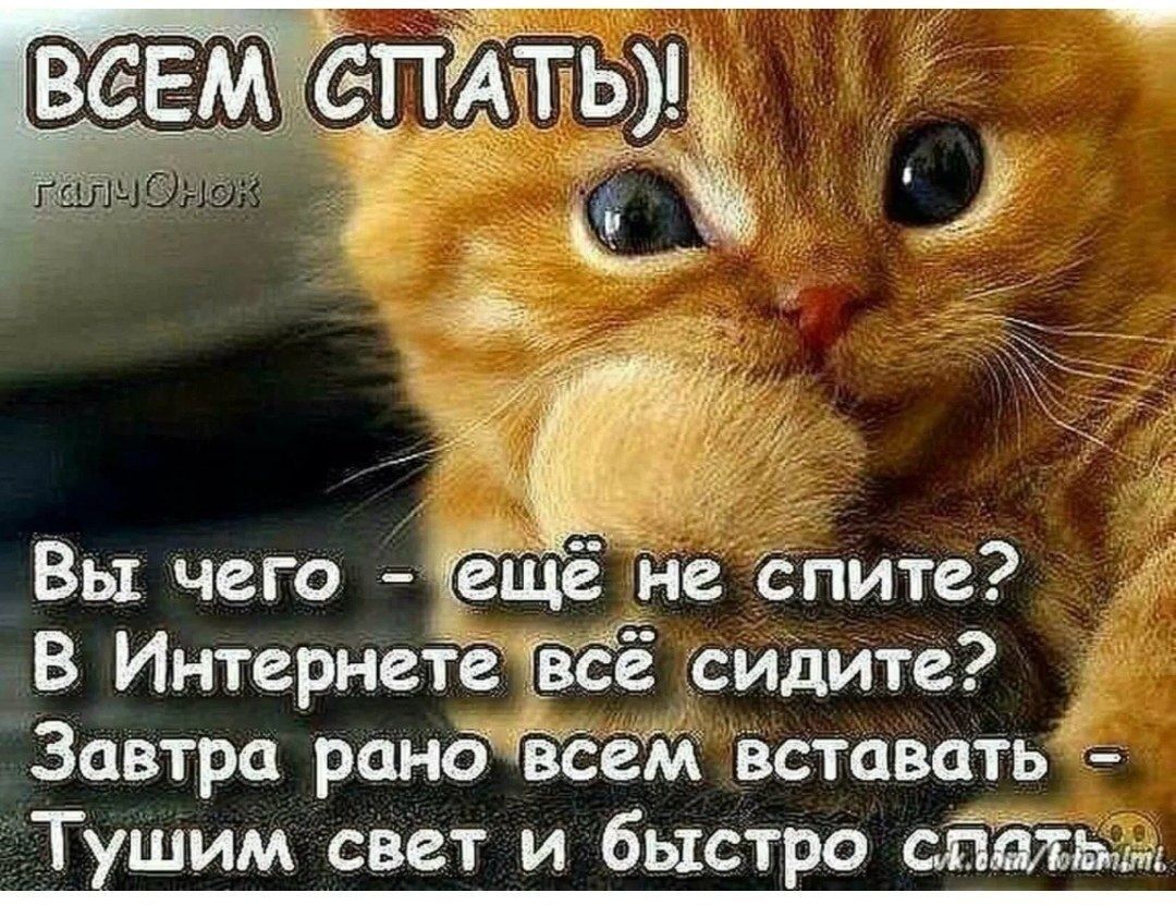 ВСЕМКСТРАТЬ у алубу _ Е Вы чего Йеёщё не спите В Интернетейвсе сидите Завтра рановсем вставать Тушим свет и быстро слельм