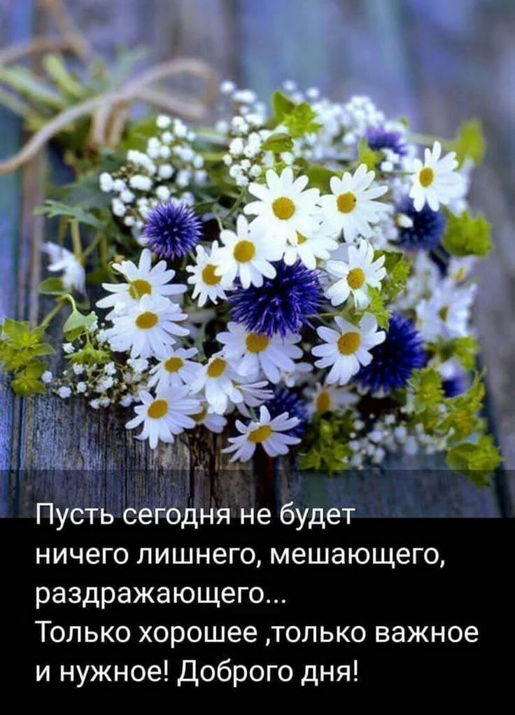 Пусть сегодня не будет ничего лишнего мешающего раздражающего Только хорошее только важное и нужное Доброго дня