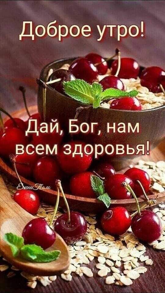 Доброе утро _ оь 7 ч чащ ёв 3 Дай Бог нам всем здоровья