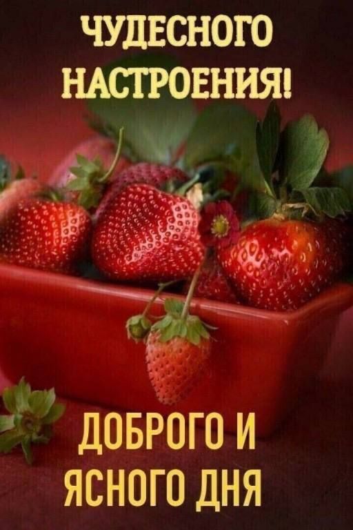 _ ба ы ДоБРОГО И ЯСНОГО ДНЯ