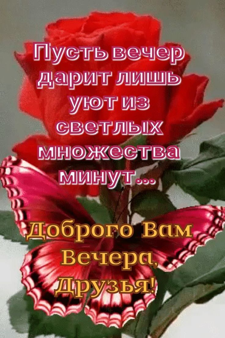 ПуслЬ вече дар ЛИДИЩЦ ухюлР и _з_щтшшдв_а мнюожества 7 че ва лб