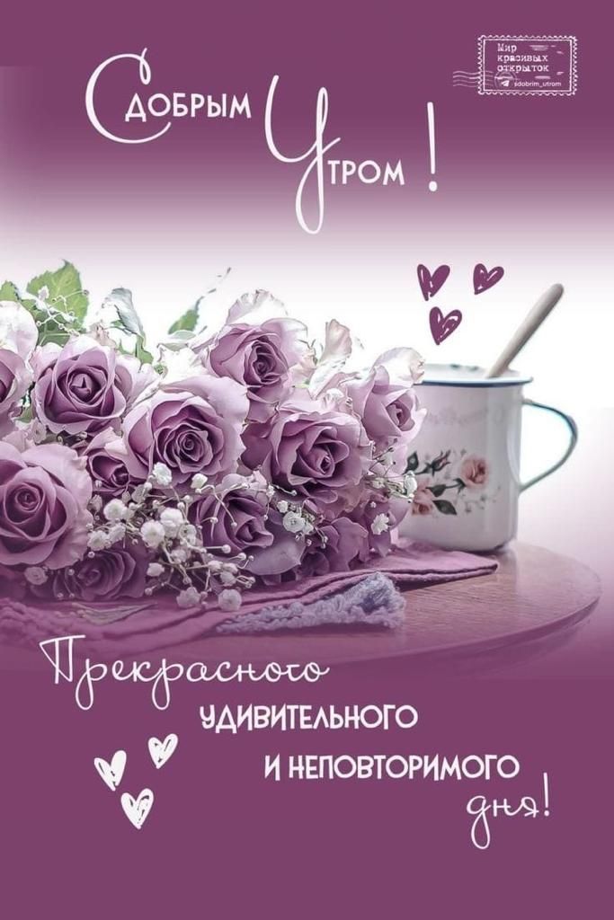 Чар ЗДИВИТЕЛЬНОГО И НЕПОВТОРИМОГО сбнд