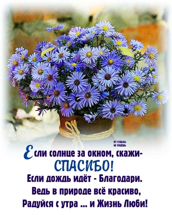 8 сли солние за окном скажи СПАСИБО Если дождь идёт Благодари Ведь в природе всё красиво Радуйкя с утра и Жизнь Люби