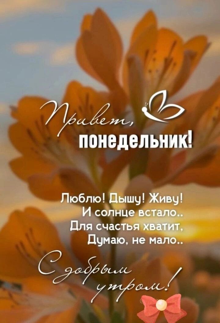 и е понедельник