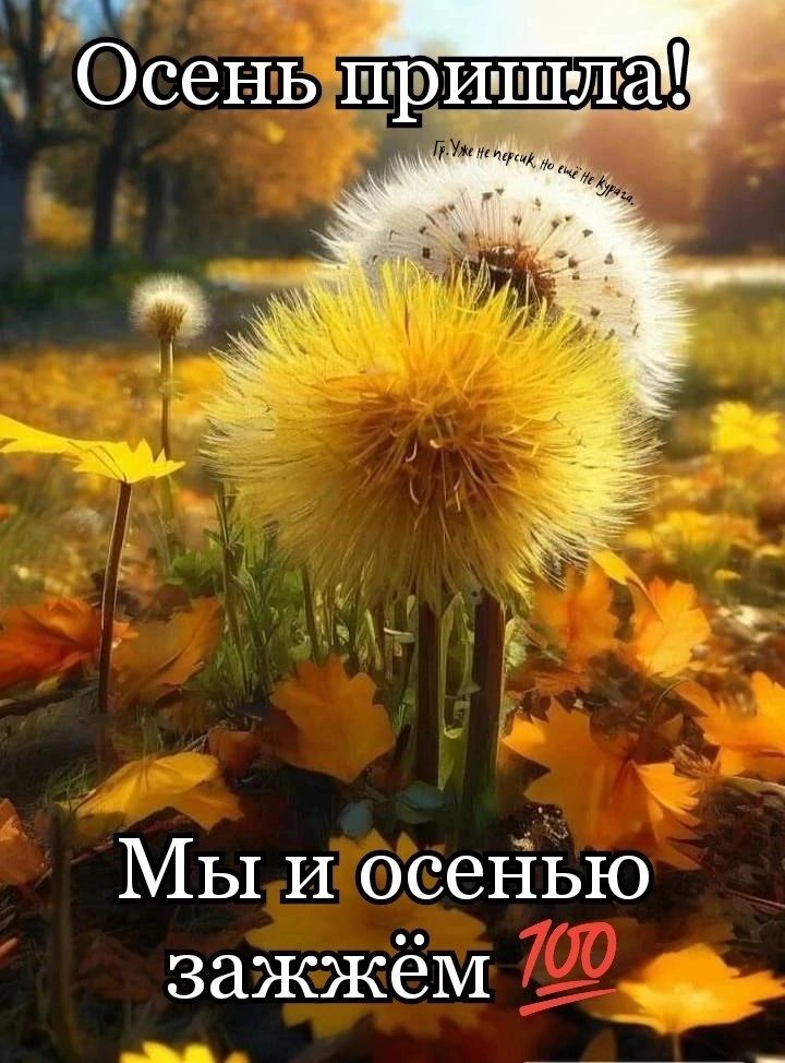2А Осенъ тришюла Мытосенью зажжем