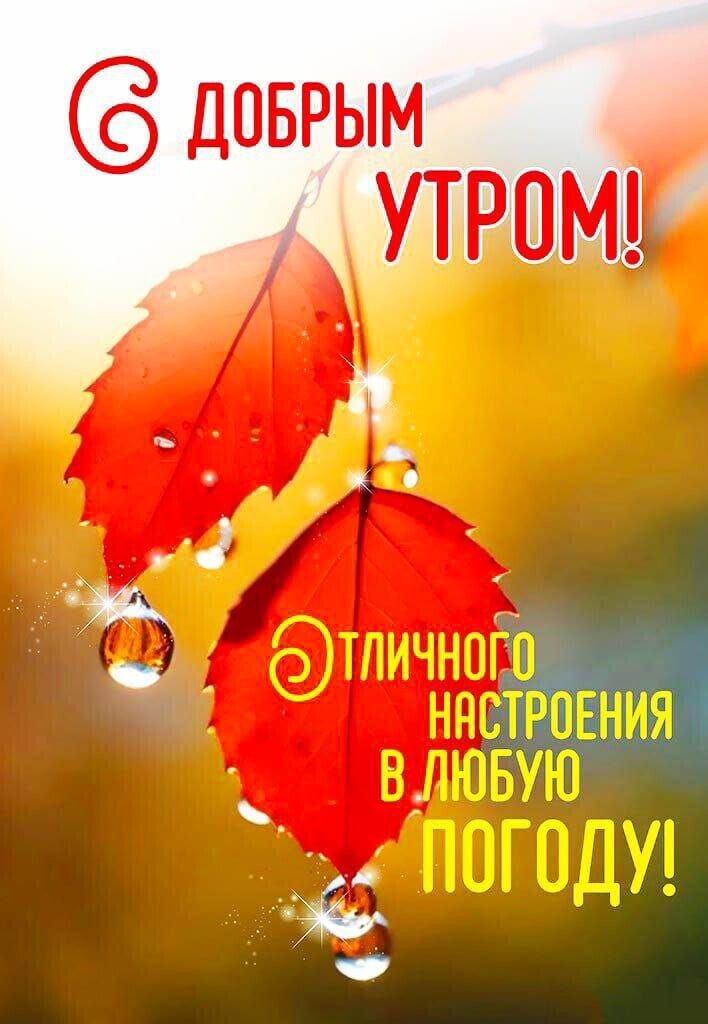 ДОБРЫМ УТРОМ п