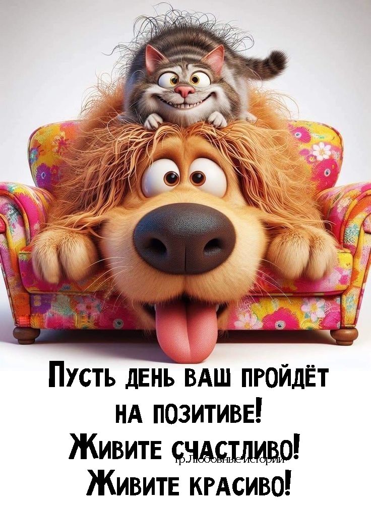 Пусть ДЕНЬ ВАШ ПРОЙДЁТ НА ПОЗИТИВЕ ЖивитЕ сЧАСТЛИВО ЖИВитЕ КРАСИВО
