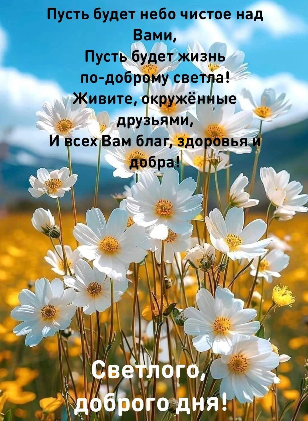 Пусть будет небо чистое над Вами Пусть будет жизнь по добром светг Живите кшже ые друзьями Свд га й 2 ЬЁЬогодня м