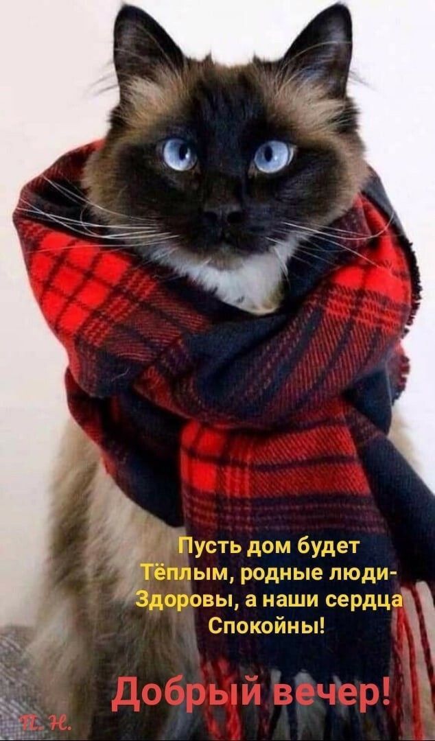 аши сердц