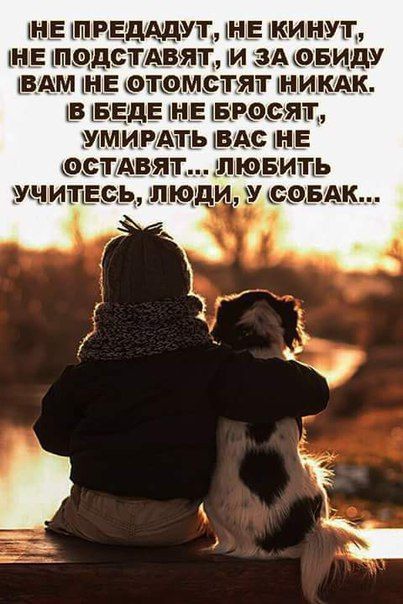НЕ ПРЕДАДУТ НЕ АВЯТ ВАМ НЕ ОТОМСТУТ В БЕ