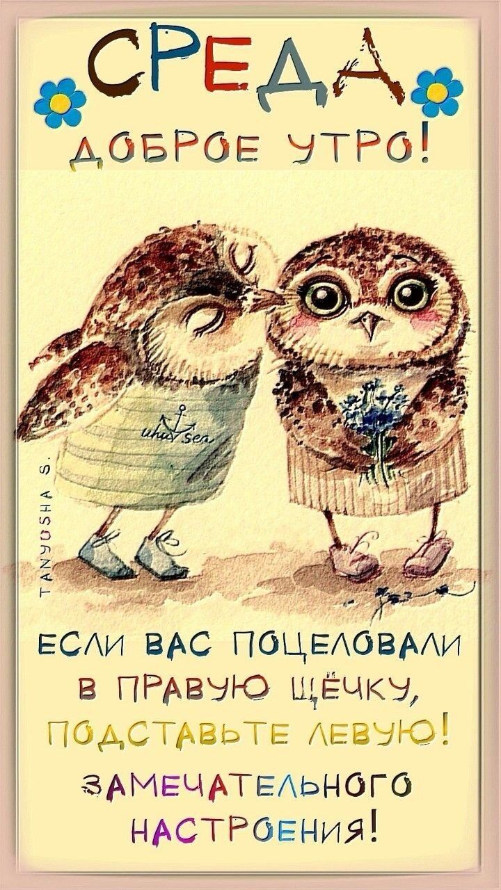 аСРЕАА ф довРов УТРО е 2 24 Е ЕСЛИ ВАС ПОЦЕЛОВАЛИ В ПРАВУЮ ШЁЧКУ ПОДСТАВЬТЕ ЛЕВУЮ ЗАМЕЧАТЕЛЬНОГО НАСТРОЕНИЯ