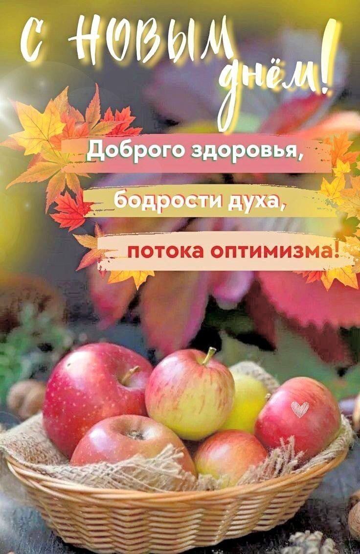 Г 3 ы х ж е Е