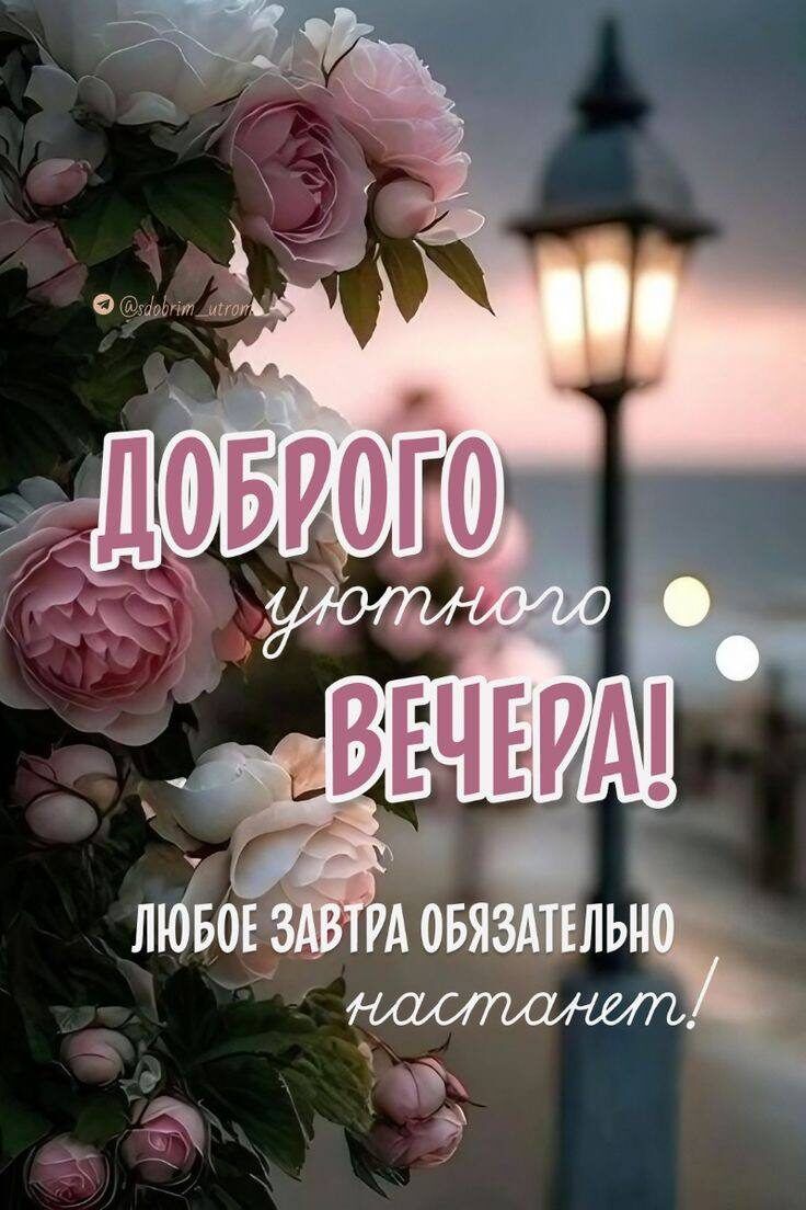 ЧЕ 23 ЛЮБОЕ ЗАВТРА ОБЯЗАТЕЛЫ