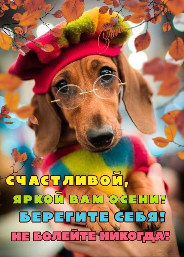 НЕ Болнищіикогдд ча