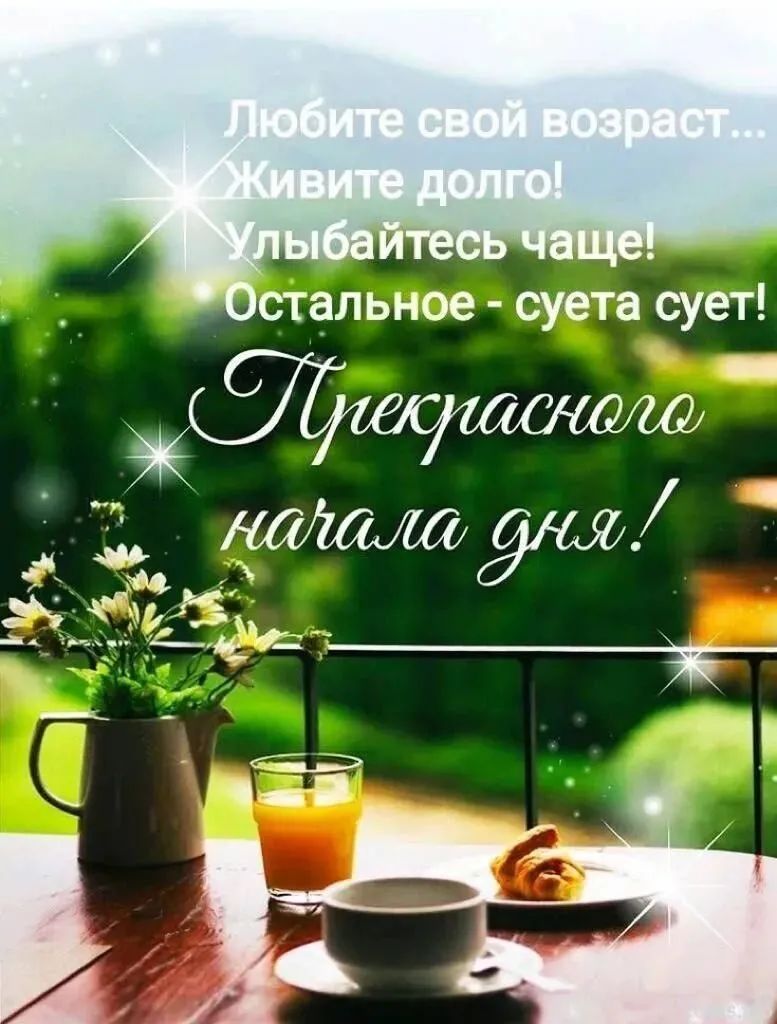 стальное суета сует