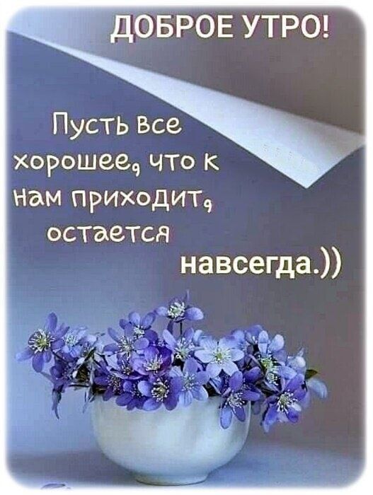 ДОБРОЕ УТРО Пусть Все хорошее что К Нам приходит остается навсегда ь