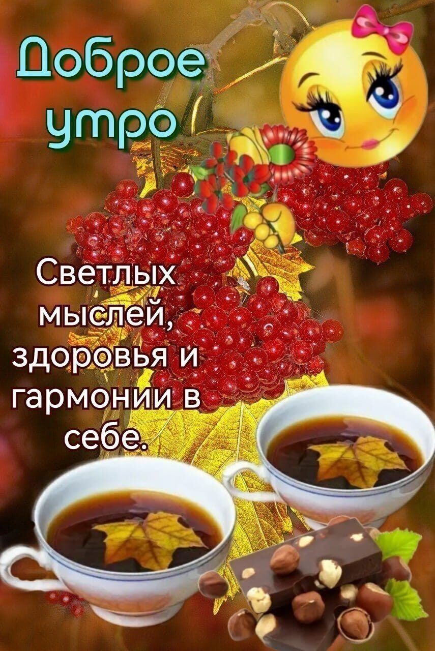 Поброе ід УОО оАЙ Светль х _ мысЛей 75 здоровья и гармонйи в себе