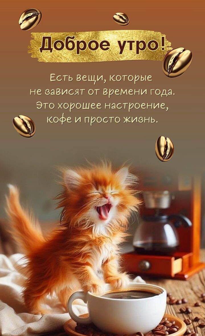 Есть вещи которые не зависят от ВРЕМЕНИ года Это хорошее настроение кофе и просто живнь